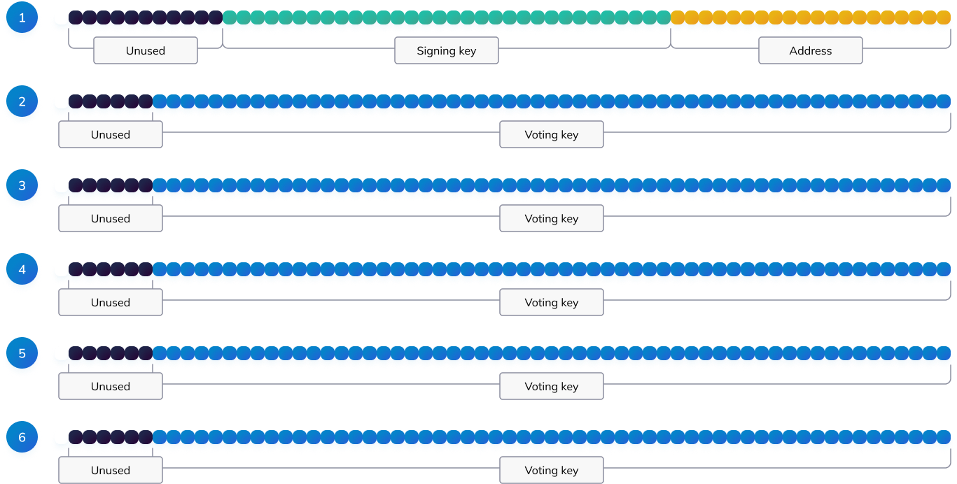 Structure of validator registration transaction data